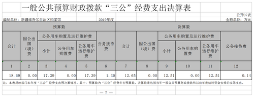 2019年部门决算报表7.png